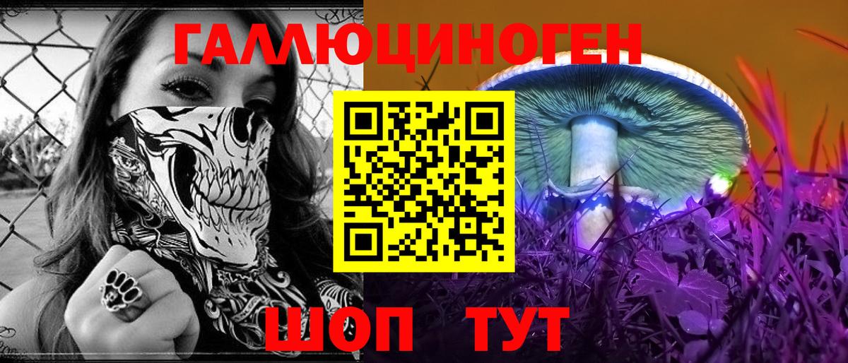Галлюциногенные грибы Psilocybine cubensis Губкин