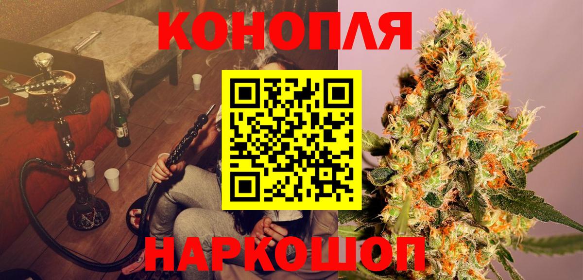 Бошки Шишки индика  Шишки марихуана OG Kush  Марихуана Bruce Banner  Губкин  Вход с VPN  Канабис план 